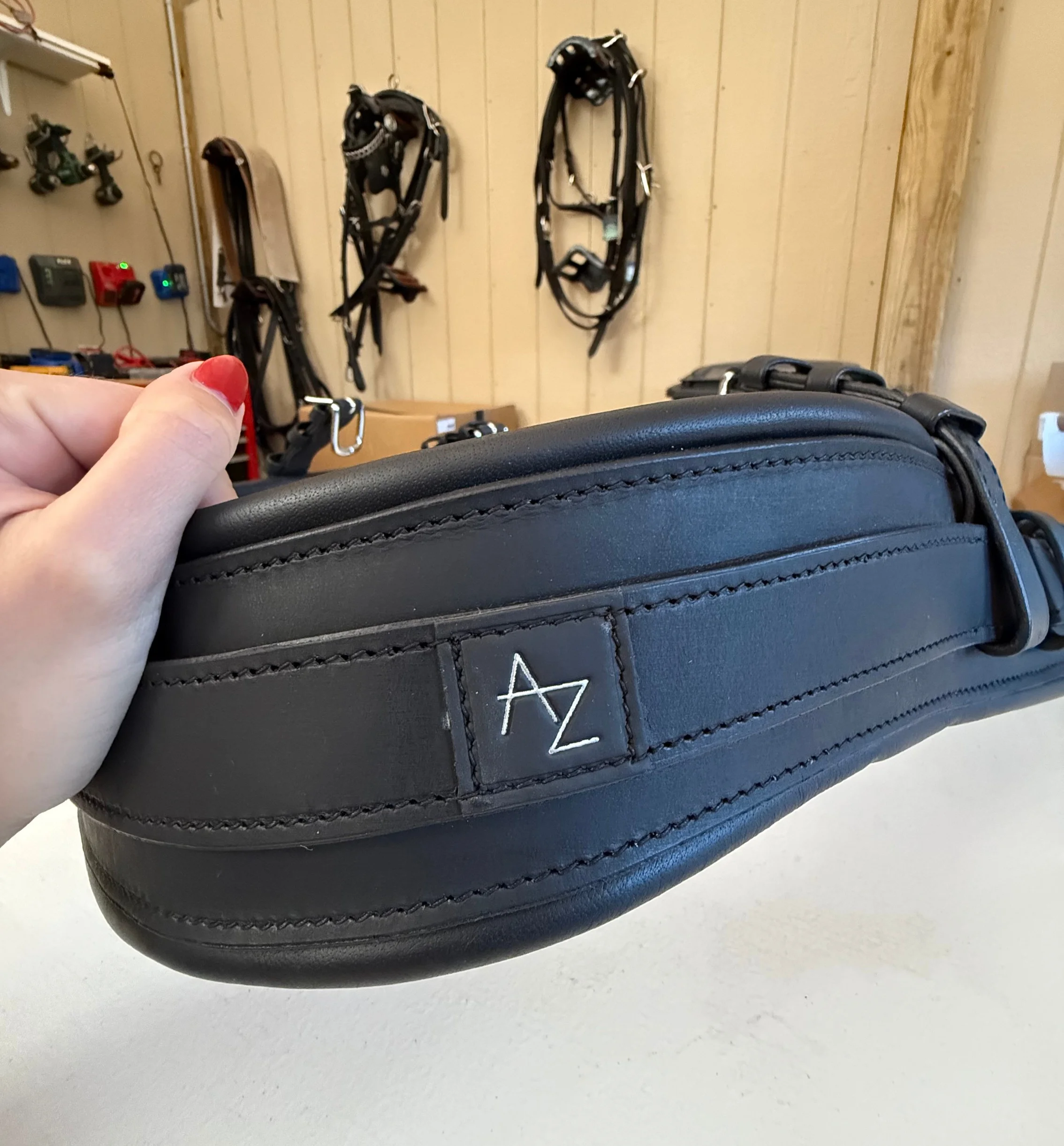 AZ Horsedriving detail 1